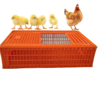 Jaulas de pájaros de transporte de plástico de alta calidad para pollos vivos/jaulas de transporte de pollos/caja de transporte de aves de corral
