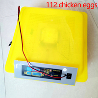Mini incubadoras de huevos de gallina completamente automáticas, máquina para incubar huevos para 112 incubadoras de huevos domésticas