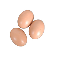 Huevos falsos de madera/plástico, nido de casa de pollo, huevo falso, adornos de dibujo DIY para regalo, huevos de Pascua, LMA-13