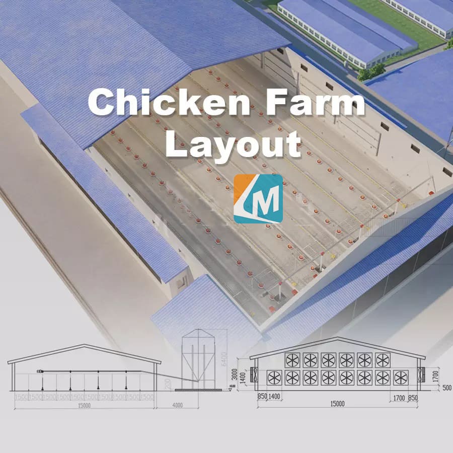 Accesorios para bebederos de pollo, sistema de línea de flotación para aves de corral, granja de aves 