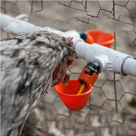 Bebedero automático de plástico para tetina de pollo, bebedero para aves de corral, accesorios en T de PVC, vaso para agua potable, tubo para beber, LM-32