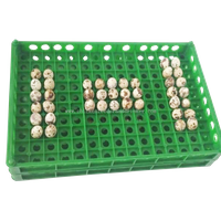 Bandeja de huevos Incubadora de plástico/bandeja de incubadora de huevos de plástico para pollo, ganso, pato/máquina de fabricación de bandejas de huevos LMQ-3