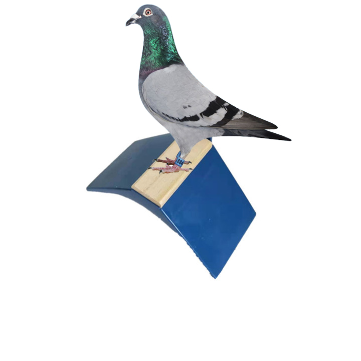 Accesorios para pájaros homing, soporte para descanso de palomas, percha de plástico para palomas de carreras en V con resistencia al calor de madera LMA-04