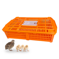 Jaula plegable de LMC-03, jaula de transporte para aves de corral vivas, caja para gansos, caja de transporte para pollitos de codorniz transportada