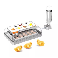 Dispositivo de llenado de agua externo, incubadora automática de huevos de gallina, capacidad para 20 huevos