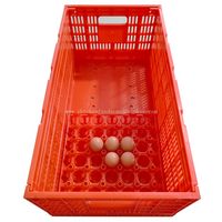 Productos de granja de pollos, bandeja para huevos, caja de transporte de huevos plegable, caja para aves de corral, LMC-05